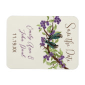 Aquamarine Liebesvögel Lila blühender Baum Magnet (Horizontal)