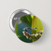 Aquamarine mit Augen Libelle Button (Vorne & Hinten)