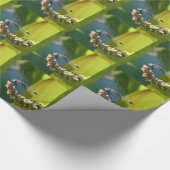 Aquamarine mit Augen Libelle Geschenkpapier (Ecke)