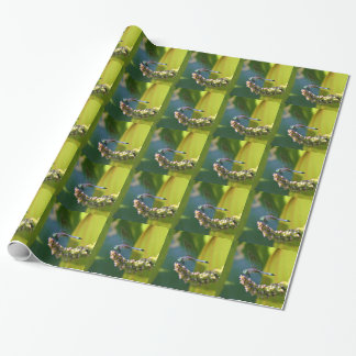 Aquamarine mit Augen Libelle Geschenkpapier