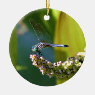 Aquamarine mit Augen Libelle Keramikornament