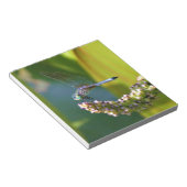 Aquamarine mit Augen Libelle Notizblock (angewinkelt)