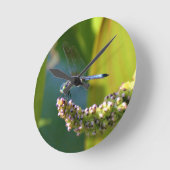 Aquamarine mit Augen Libelle Runde Wanduhr (Winkel)