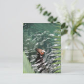 Aquamarine Nummer 6 Postkarte (Stehend Vorderseite)