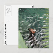 Aquamarine Nummer 6 Postkarte (Vorne/Hinten)
