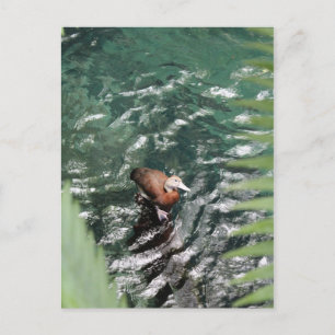Aquamarine Nummer 6 Postkarte