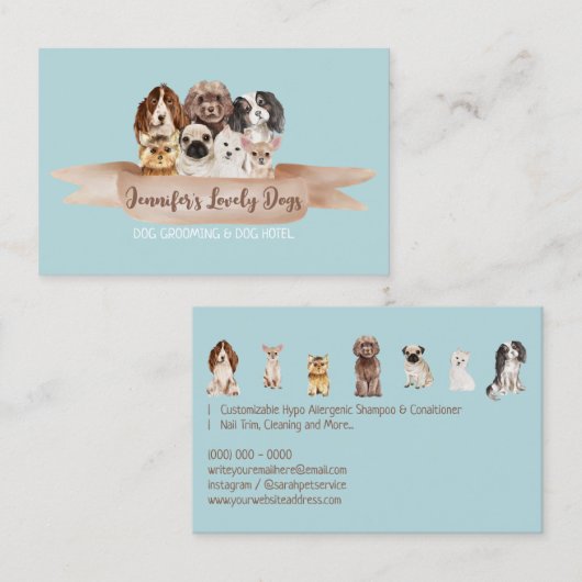 Aquamarine Petsitter Hunde Groomer Kleine Rassen Visitenkarte (Vorne/Hinten)
