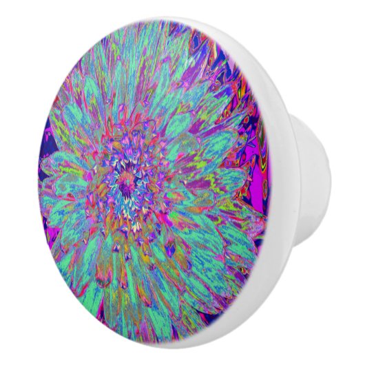 Aquamarine Regenbogen Farbe Abstrakt Dahlia Blume Keramikknauf (Rechts)