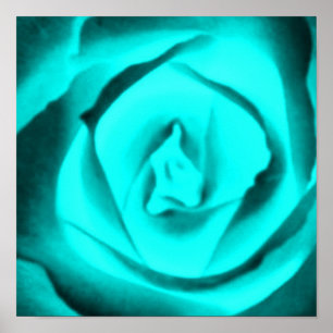 Aquamarine Rose Poster