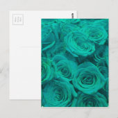aquamarine Rose Postkarte (Vorne/Hinten)