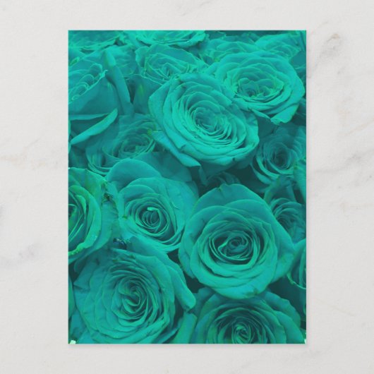 aquamarine Rose Postkarte (Vorderseite)