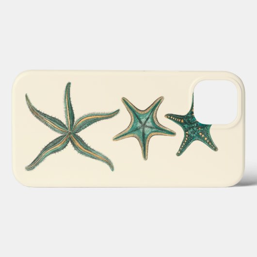 Aquamarine Triple Starfish Case-Mate iPhone Hülle (Rückseite (Horizontal))