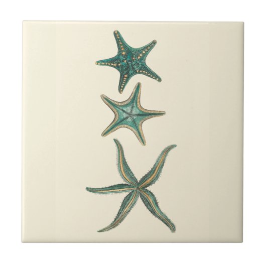 Aquamarine Triple Starfish Fliese (Vorderseite)