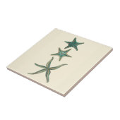 Aquamarine Triple Starfish Fliese (Seite)