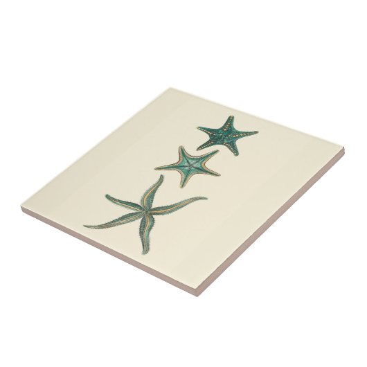 Aquamarine Triple Starfish Fliese (Seite)