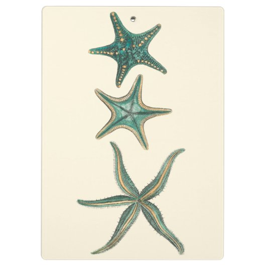 Aquamarine Triple Starfish Klemmbrett (Rückseite)