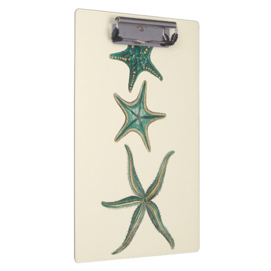 Aquamarine Triple Starfish Klemmbrett (Rechts)