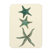 Aquamarine Triple Starfish Magnet (Vertikal)