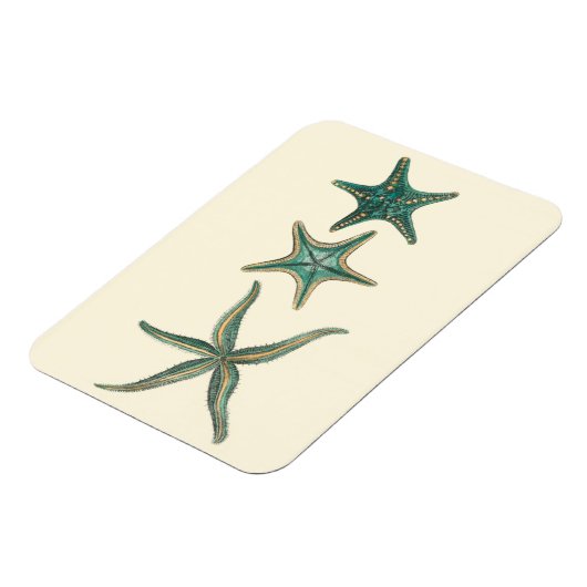 Aquamarine Triple Starfish Magnet (Linke Seite)