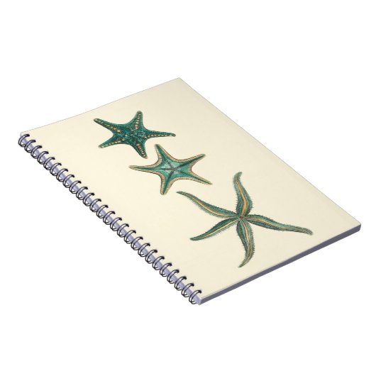 Aquamarine Triple Starfish Notizblock (Rechte Seite)