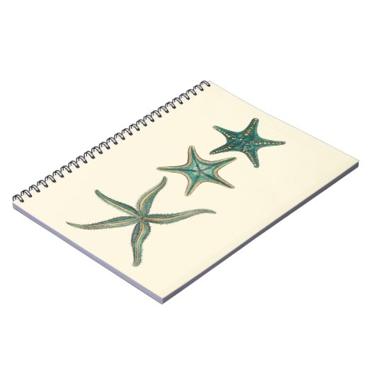 Aquamarine Triple Starfish Notizblock (Linke Seite)