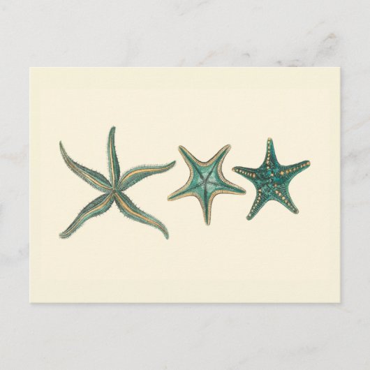 Aquamarine Triple Starfish Postkarte (Vorderseite)