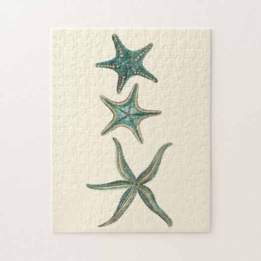 Aquamarine Triple Starfish Puzzle (Vertikal)