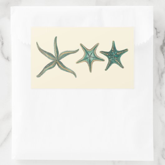 Aquamarine Triple Starfish Rechteckiger Aufkleber (Tasche)