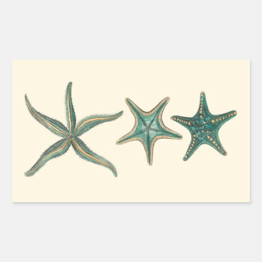 Aquamarine Triple Starfish Rechteckiger Aufkleber (Vorderseite)