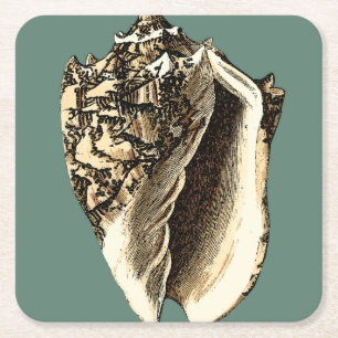 Aquamarine Tritonshorn-Muschel Rechteckiger Pappuntersetzer