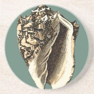 Aquamarine Tritonshorn-Muschel Untersetzer