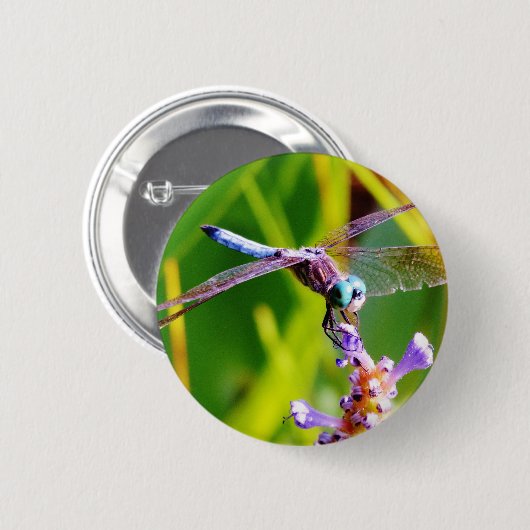 Aquamarine und lila Libelle Button (Vorne & Hinten)