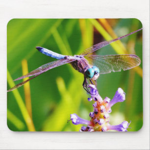 Aquamarine und lila Libelle Mousepad