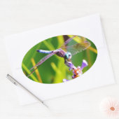 Aquamarine und lila Libelle Ovaler Aufkleber (Umschlag)