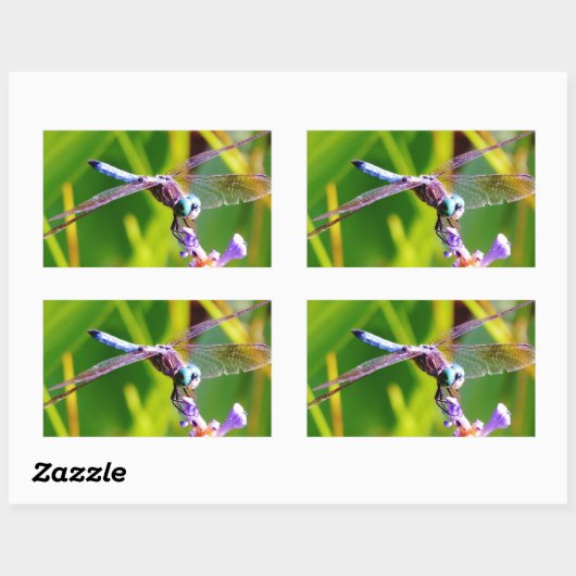 Aquamarine und lila Libelle Rechteckiger Aufkleber (Blatt)