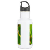 Aquamarine und lila Libelle Trinkflasche (Rückseite)