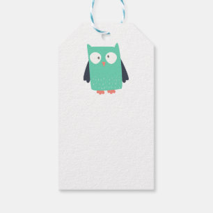 Aquamarine Whimsical Owls Geschenkanhänger