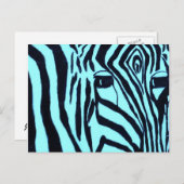 Aquamarine Zebre Postkarte (Vorne/Hinten)