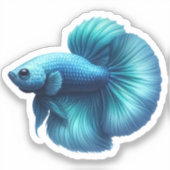 Aquamariner Blauer Betta Aufkleber (Vorderseite)