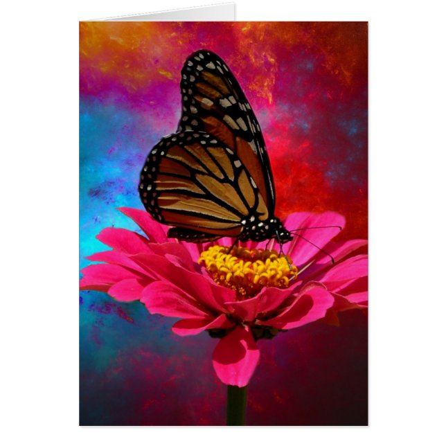 aquamariner böhmischer Schmetterling des (Vorne)
