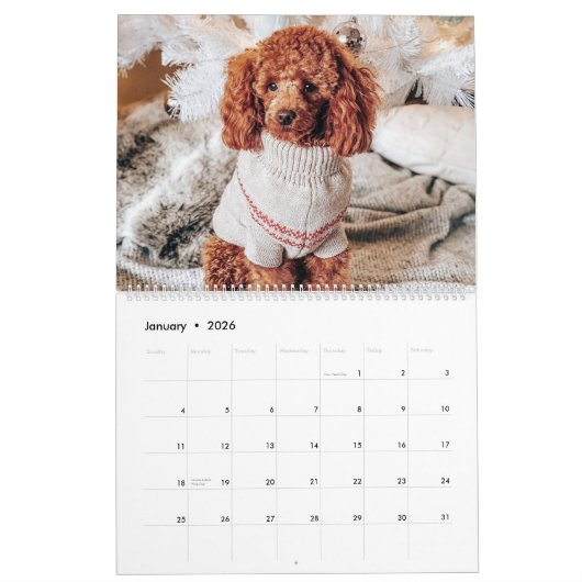 Aquamariner Familienname für Monogramm, blau 20 Fo Kalender (Jan 2026)