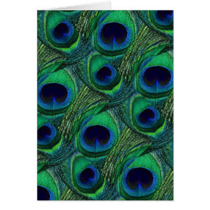 Aquamariner grün-blauer Pfau-Feder-Druck/Muster