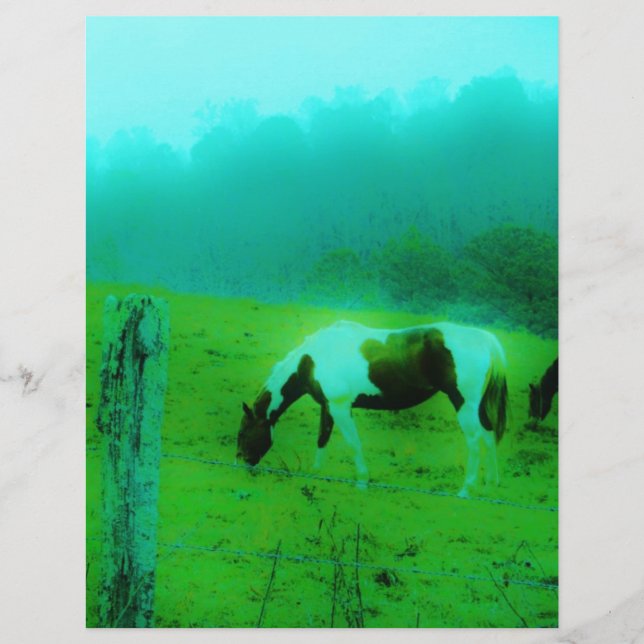 Aquamariner Nebel Reto gefärbte Pony Horse (Vorderseite)