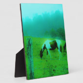 Aquamariner Nebel Reto gefärbte Pony Horse Fotoplatte (Seite)