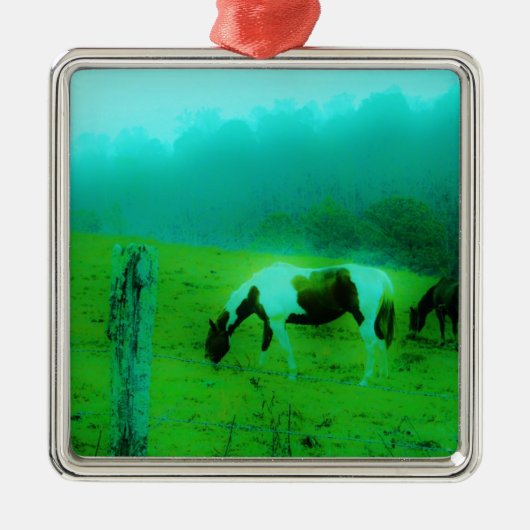 Aquamariner Nebel Reto gefärbte Pony Horse Ornament Aus Metall (Vorne)