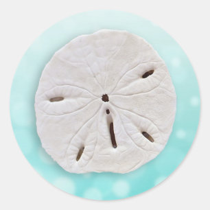 Aquamariner Sand-Dollar-Hochzeitsaufkleber Runder Aufkleber
