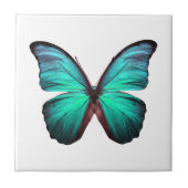 Aquamariner Schmetterling Fliese (Vorderseite)