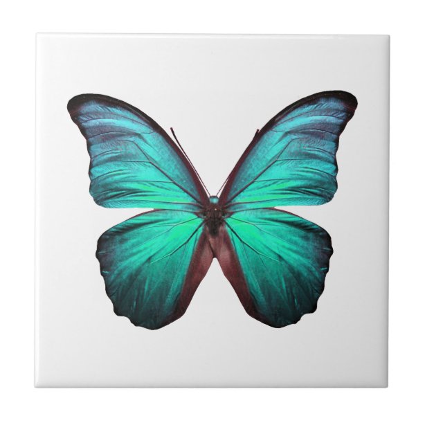 Bunt Fliesen Zazzle.de