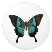 Aquamariner Schmetterling Keramikknauf (Vorderseite)