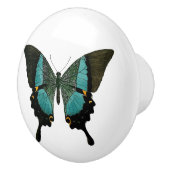 Aquamariner Schmetterling Keramikknauf (Rechts)